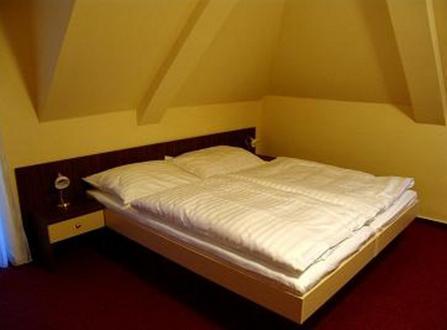 Hotel Altenberg Staré Hory Pokój zdjęcie