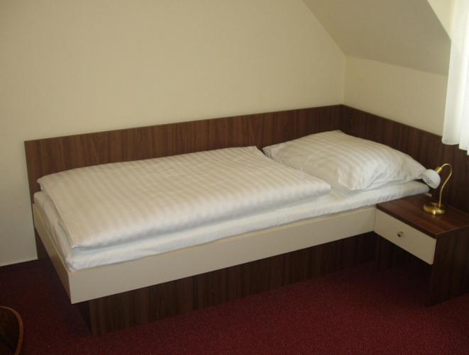 Hotel Altenberg Staré Hory Pokój zdjęcie