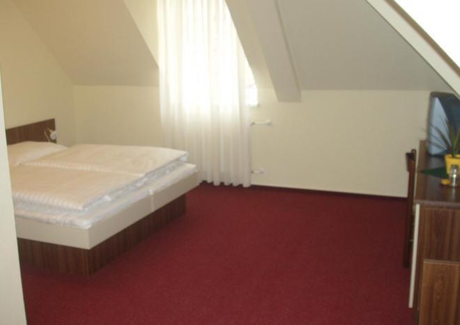 Hotel Altenberg Staré Hory Pokój zdjęcie